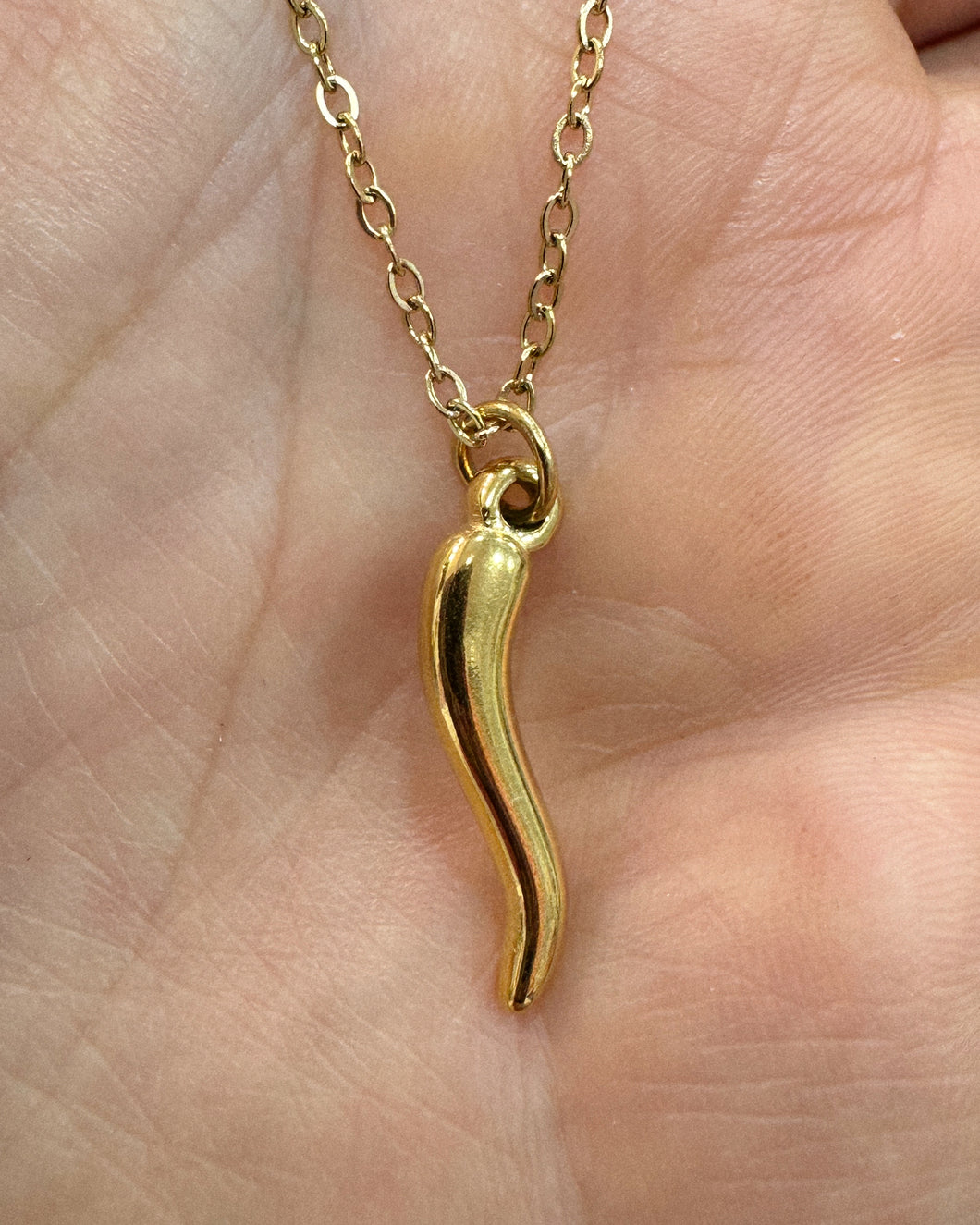 ITALIAN HORN necklace