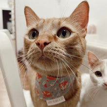 Load image into Gallery viewer, GRAY FOX pet bandanas. Handmade.
